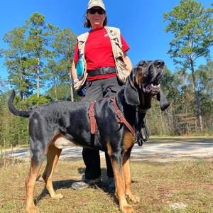 Meet your Posher, Catherine